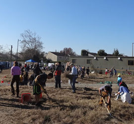Jean Sweeney Open Park cleanup