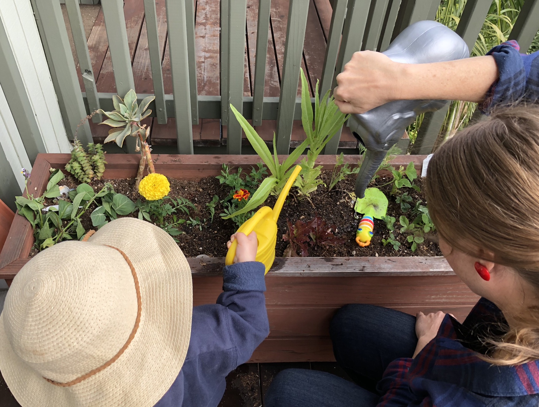Five Best Vegetables to Grow with Kids - Alameda Backyard Growers