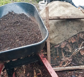 Fall composting with leaves