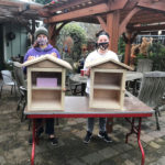 Displaying free seed libraries