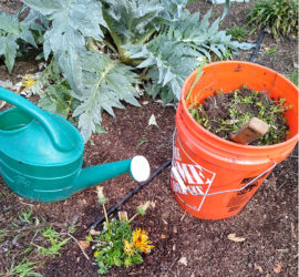 Alisons Garden of Hope