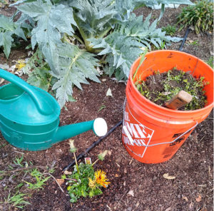 Alisons Garden of Hope