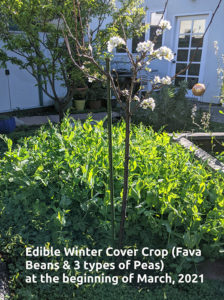 Marla's garden of hope