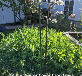 Marla's garden of hope