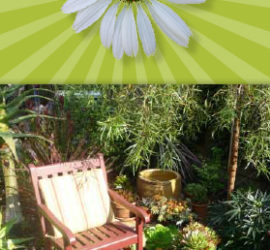 Now that your Lawn is Gone