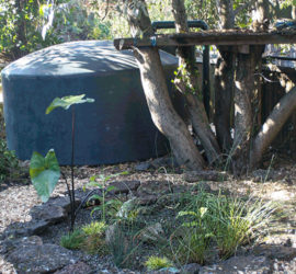 rainwater catchment