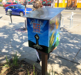 Free Seed Library in Healing Garden