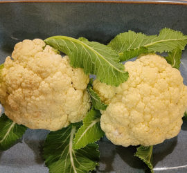 cauliflower