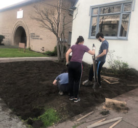 Lawn to garden diggin