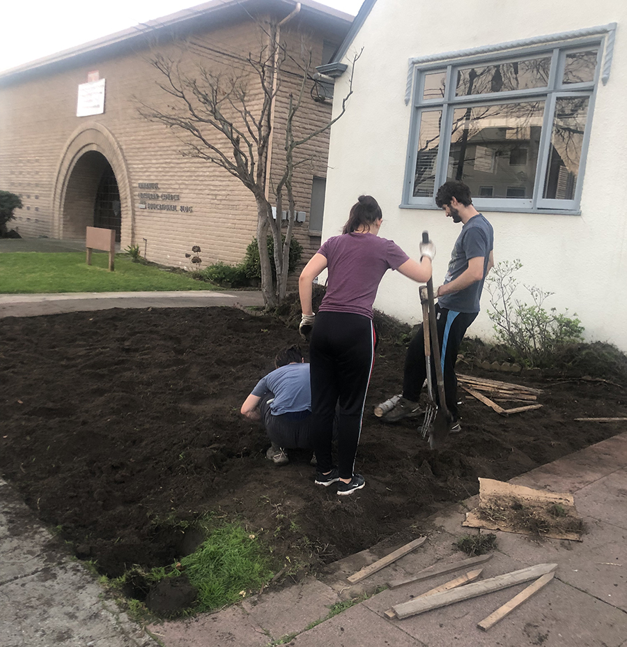 Lawn to garden diggin