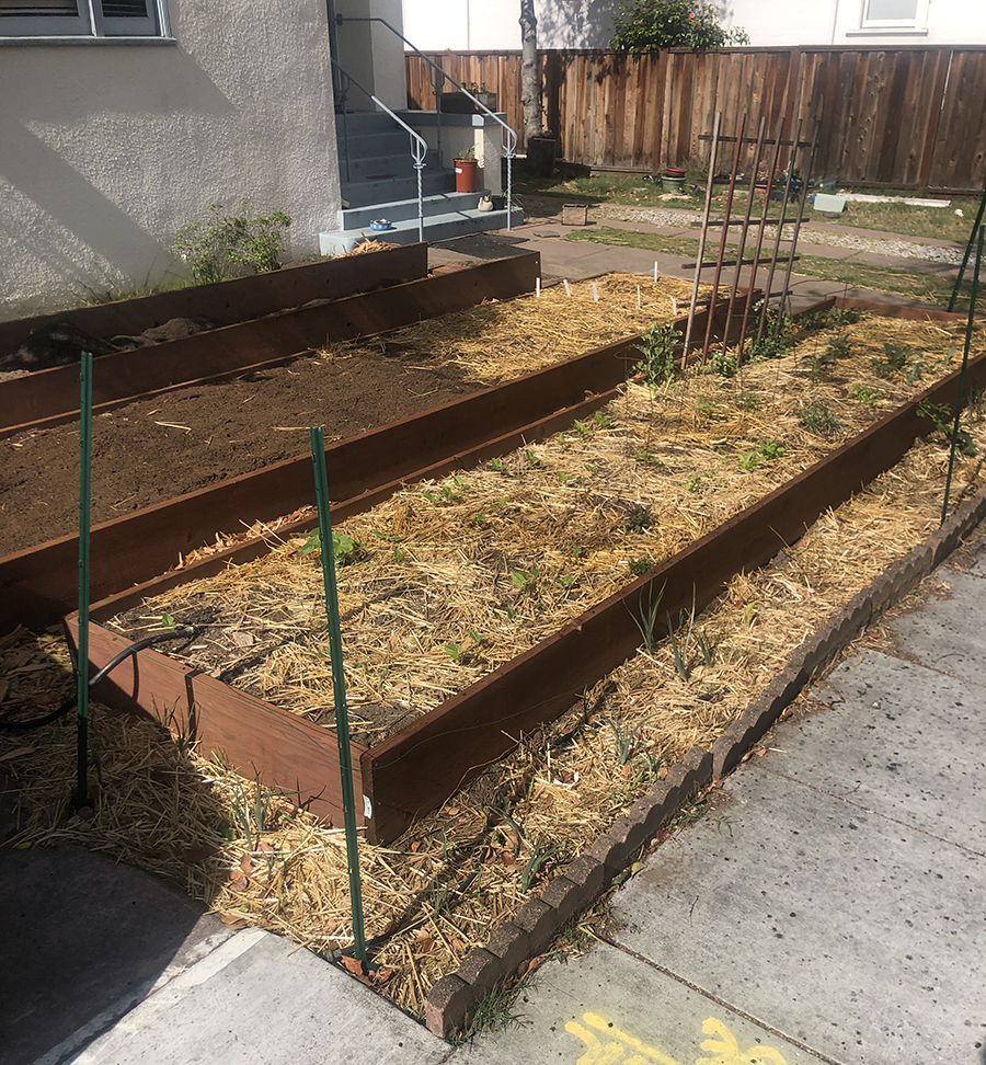 Beds where there was lawn