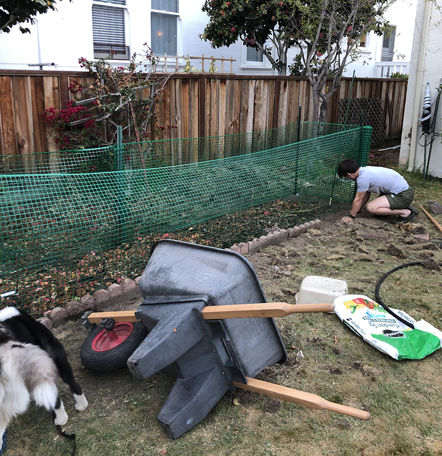 Lawn to Garden backyard