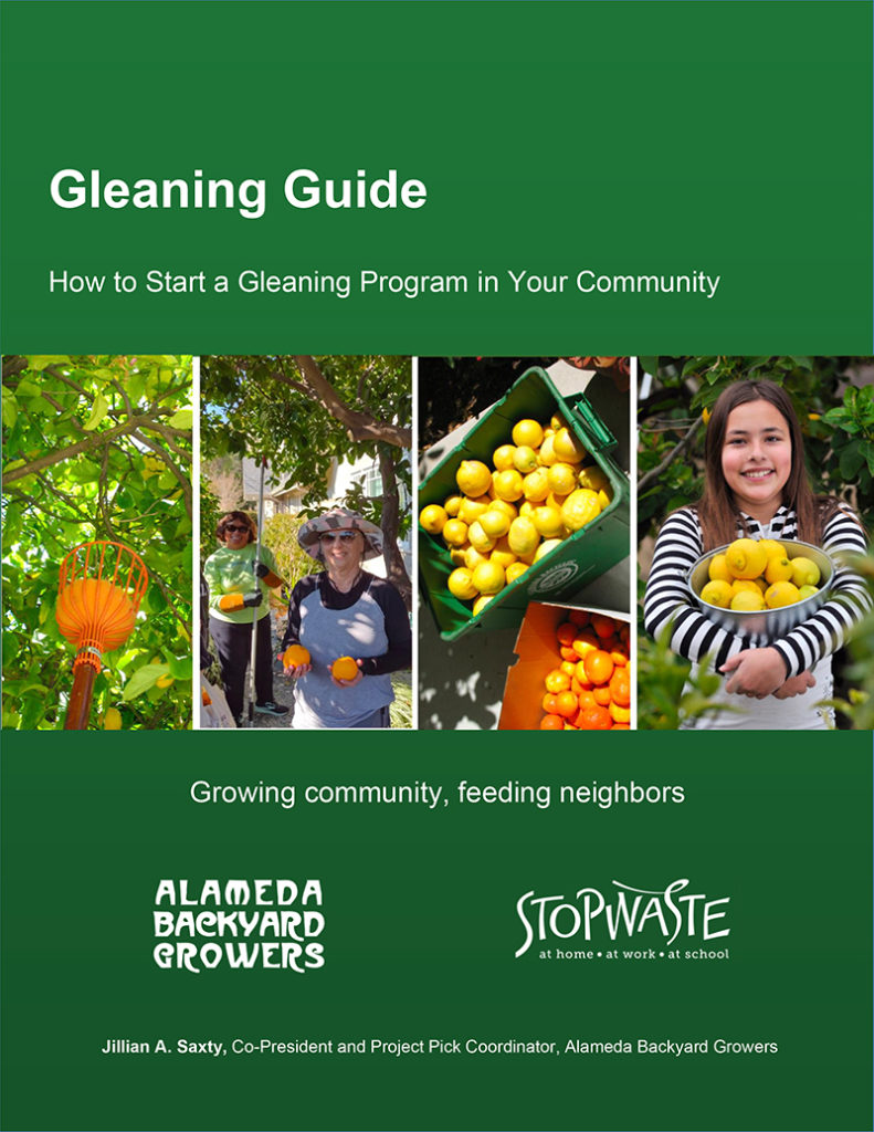 Gleaning Guide cover