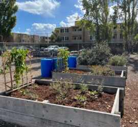 Wood Middle School garden beds