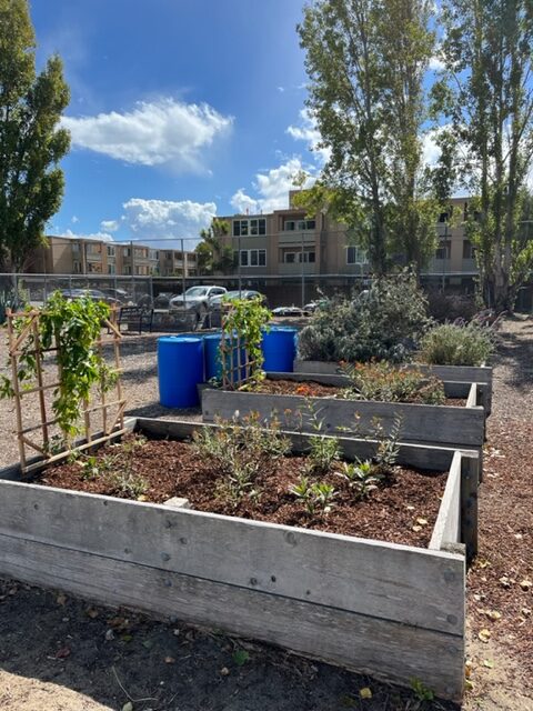 Wood Middle School garden beds