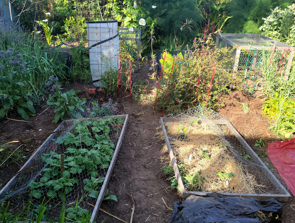 Garden Planning Bed Covers