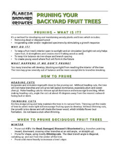 Notes on Pruning Fruit Trees