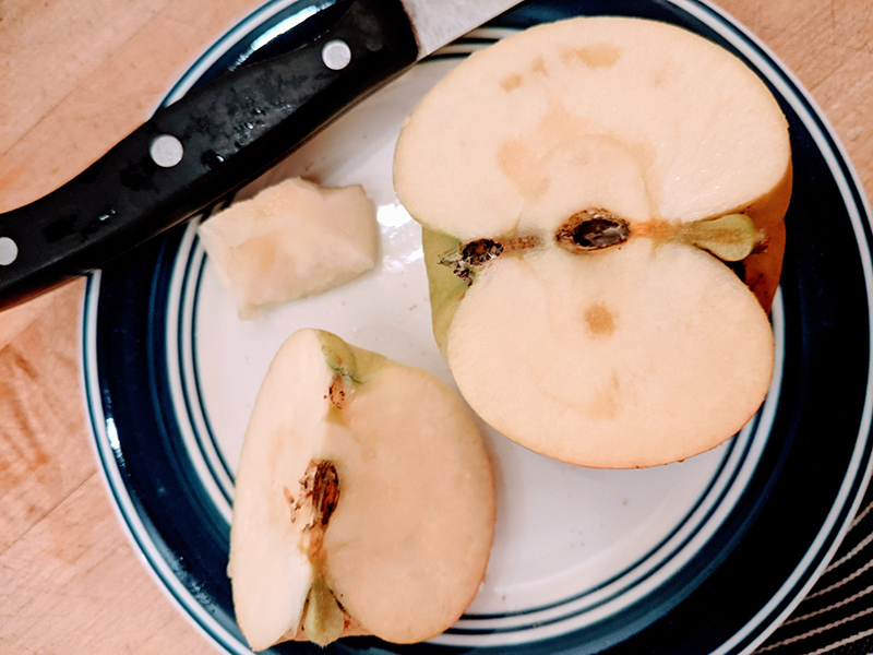 Apple water core