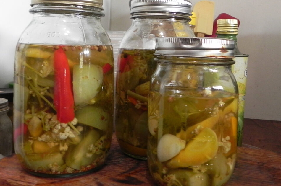 Green Tomato Recipies