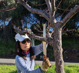 Edible Schoolyard Berkeley