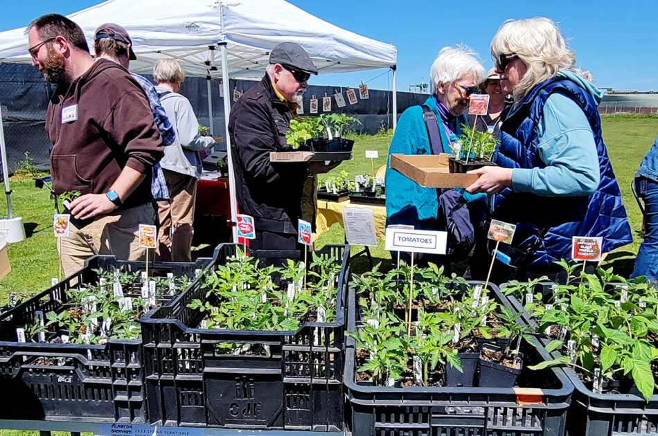 Spring Shindig ABG Plant Sale