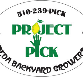 Project Pick