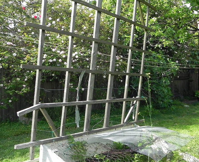 Plant Support Trellis
