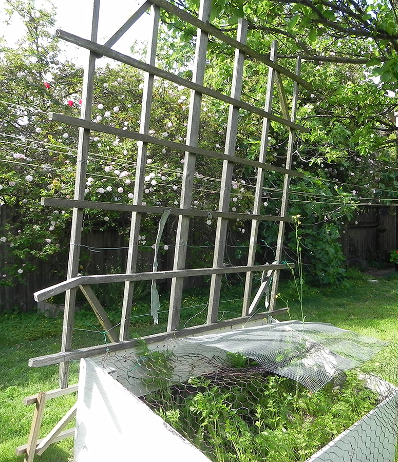 Plant Support Trellis
