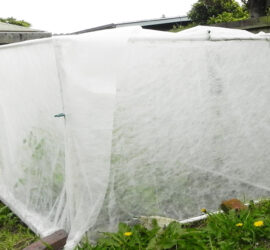DIY greenhouse