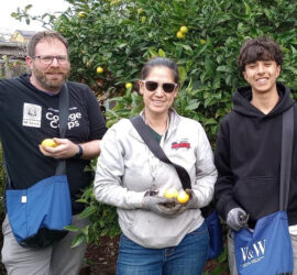 Project Pick in 2025