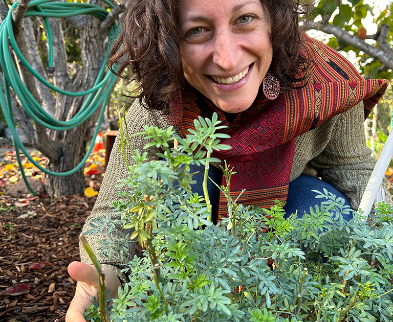 Danièle Fogel of Yervika