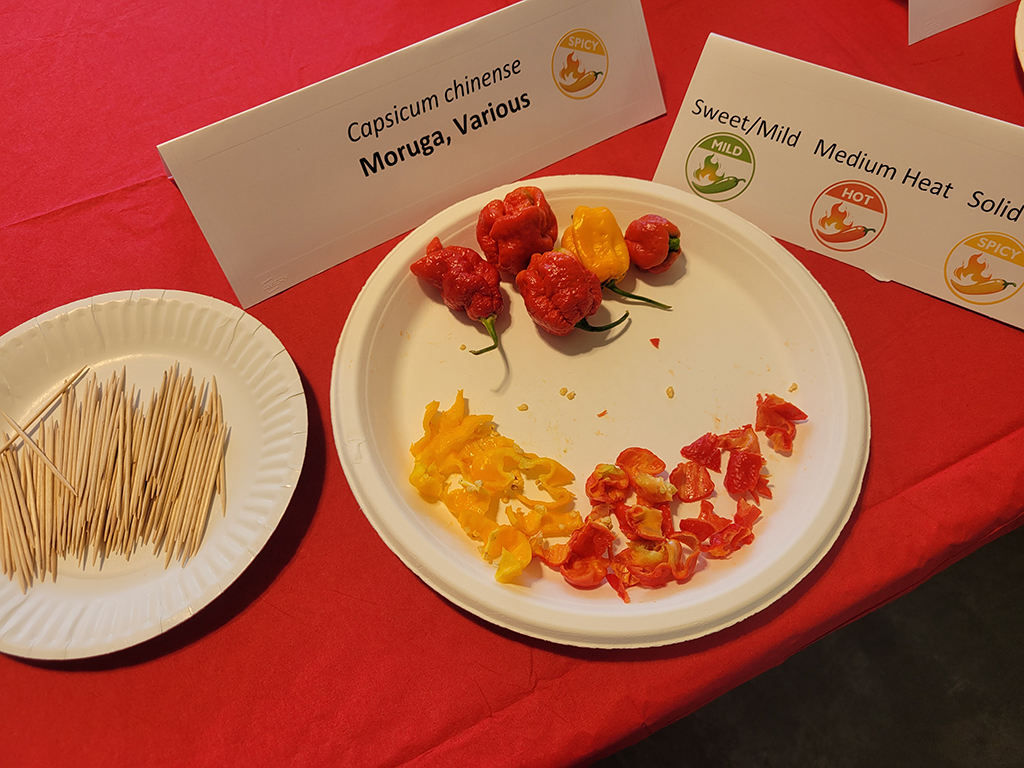Peppers for tasting