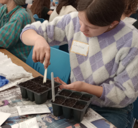 Seed starting workshop